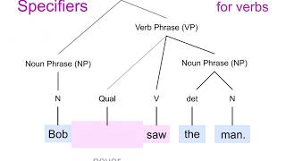 Specifiers for VP [upl. by Avah]