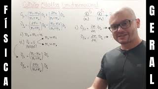 229 Física I e Mec Geral  Colisão Elástica Unidimensional  Casos Particulares [upl. by Mikael]