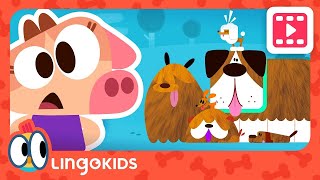 BABY BOT Knows CARING FOR PETS 🐶🐾 Cartoons for Kids  Lingokids  S1E3 [upl. by Anitsim]