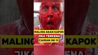 Maling Akan Kapok Jika Di Semprot Dengan Cairan ini‼️ [upl. by Mcadams]