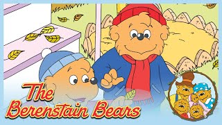 Berenstain Bears Bears For All Seasons Grow It  Ep39 [upl. by Akcimahs]