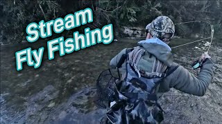 Stream Fly Fishing NZ [upl. by Tavish]