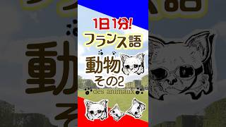 1日1分フランス語☆動物＿その2☆フランス語 英語 1日1分フランス語 フランス語単語 フランス語聞き流し [upl. by Leynad]