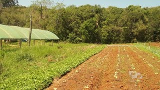 Núcleo de Estudos em Agroecologia e Produção Orgânica do Litoral Norte  Conhecendo a UFRGS [upl. by Magulac]