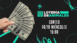 SORTEO 301024 MIÉRCOLES  1500 [upl. by Carny588]