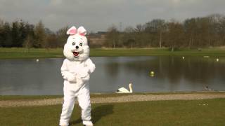 Easter Bunny Disco at Brechin Castle Garden Centre [upl. by Heywood447]