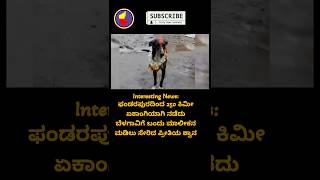 News  08 Crazy Newz Kannada [upl. by Atinele]