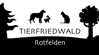 Tierfriedwald Rotfelden Nordschwarzwald  Tierfriedhof  Pet cemetery im Mai 2024 [upl. by Philoo]