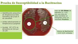 Prueba de Susceptibilidad a ciertas sustancias  Optoquina  Bacitracina  Solubilidad en Bilis [upl. by Assiluy790]