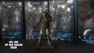 Hiya Toys AVP Scar Predator Review [upl. by Haron984]