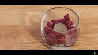 Sferificazione inversa di ginTonic con granita duva Specialingredientsit [upl. by Gnuhc]