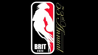 BRIT 53  Game 19 [upl. by Dannica]