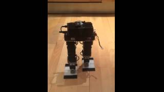 6 DOF Biped Robot [upl. by Vogeley319]