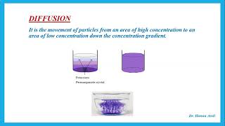 Diffusion  IGCSE Chemistry  Dr Hanaa Assil [upl. by Naashom]