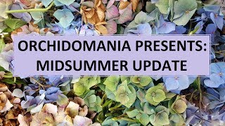 Orchidomania Presents Midsummer Update [upl. by Warrick]