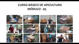 CURSO BÁSICO DE APICULTURA VÍDEO 01 [upl. by Ecallaw]