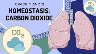 What is Blood Pressure An Animated Guide to Understanding Blood Pressure Dynamics [upl. by Grannias459]