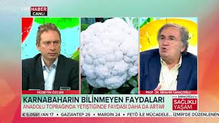 Prof Saraçoğlu ile Sağlıklı Yaşam 06052018 [upl. by Oremoh]