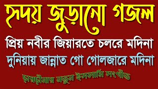 প্রিয় নবীর জিয়ারতে চলরে মদিনা  Priyo nobir ziyarote cholre Madina [upl. by Ardnuhsor561]