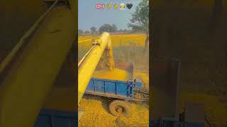 PREET combined harvester lover support Karenviralvideo vidio combine lover harvestar lover 🌾👳🖤 [upl. by Hguh]