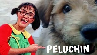 PELUCHIN chin chin VIDEO [upl. by Legnaleugim]