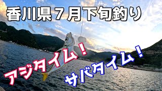 香川県7月30日アジタイム！サバタイム！ [upl. by Chevy]