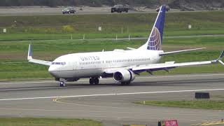 United Boeing 737800 Landing [upl. by Hoy811]