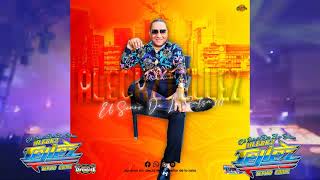 SEMBRADOS EN PLACER SALSOTA ROMANTICA Exito 2023 SONIDO SUPER DENGUE By DJ ALECKZ TELLEZ [upl. by Ellenahs]