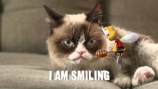 Cheerios quotBuzz Meets Grumpy Catquot  AdEmpire [upl. by Adnoloy]