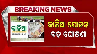 Kalia Yojana New Update 26 December  Kalia Yojana Online Apply 2024  Odisha TV [upl. by Ylim]