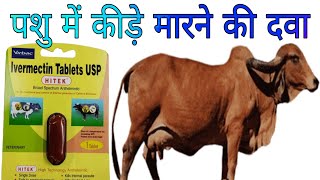 Vet Bolus Hitek Uses in Hindi  Ivermectin Tablets Veterinary medicine [upl. by Zaragoza]