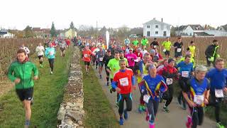 Semimarathon de Beaune 2017 [upl. by Keir537]