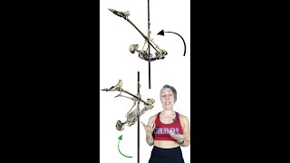 How to pole invert like a boss Which muscles are we using [upl. by Ennaylloh]