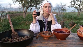 WOMAN LIVES in the village Cooking POTATOES with BACON on fire Making special Ukrainian drink [upl. by Schargel]