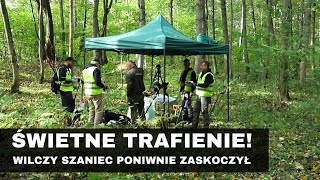 184 WILCZY SZANIEC  LATEBRA TRAFIA CIEKAWY FANT [upl. by Eiram]