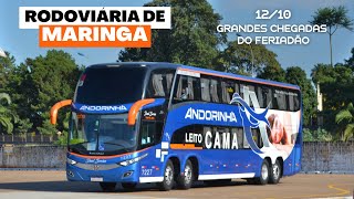 Movimentação de ônibus na Rodoviária de Maringá 14  Diversos modelos no fluxo do feriado de 1210 [upl. by Murtha443]