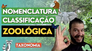 Nomenclatura e classificação dos animais taxonomia zoológica [upl. by Kelwin762]