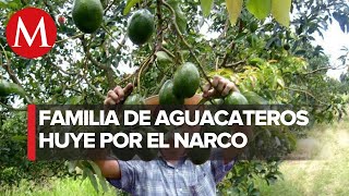 Tras meses de espera familia de ‘aguacateros’ de Michoacán se refugia en EU [upl. by Gagliano]