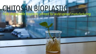 Chitosan Bioplastic [upl. by Dnama469]