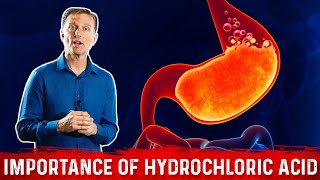 The Importance of Hydrochloric acid HCL in the Stomach – Dr Berg [upl. by Rumery168]