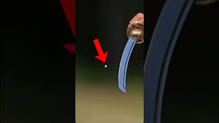 Katana Vs Bullet in Hindi MrBeast Karangaming007b2v [upl. by Ainnek213]