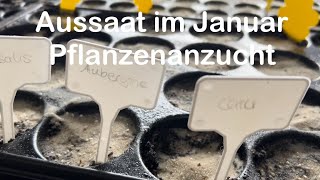 Aussaat Januar  Die Gartensaison startet  Anzucht der Jungpflanzen für die Selbstversorgung Garten [upl. by Lak]