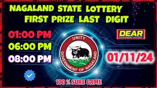 First Prize Last Digit 011124 Nagaland State Lottery Target Number Lottery Sambad Target Number 🎯 [upl. by Rosemarie901]