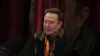 Elon Musk on Street Fighting and Martial Arts 🥋 Joe Rogan Podcast [upl. by Bonis]