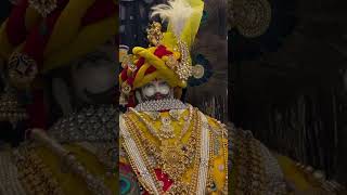 happy trendingshorts shyaam shyambaba baba khatushyam viralvideo video trending [upl. by Arada673]