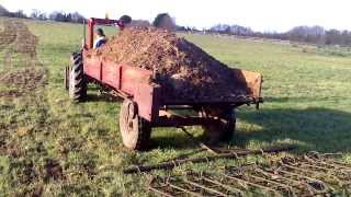 Massey Ferguson 35x shifting muck [upl. by Sanoy]