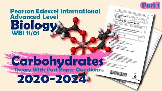 Carbohydrates  Part1  Theory with PPQuestion  Pearson Edexcel International ALevel Biology [upl. by Garett]