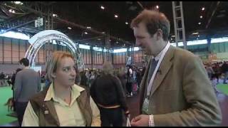 Crufts 2009 gundogs [upl. by Chard]