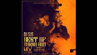 DJ SJS  Best Of BurnaBoy Mix OFFICIAL AUDIO [upl. by Malvie]