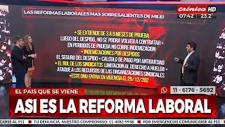 DNU y polémica esta es la reforma laboral que pretende instalar Javier Milei [upl. by Homere479]